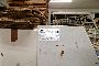 Stema Reaktivator UT12 3