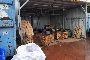 Affitto azienda operante nel settore riciclaggio rifiuti a Giulianova (TE) 6