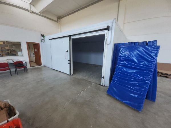 Trucks, refrigerated vans - Refrigerated cells and vans - Judicial Liquidation n. 17/2024 - Court of Terni - Sale 2