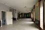 Locale commerciale a Conselve (PD) 6