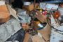 Materiale Elettrico e Bulloneria Varia 4