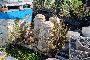Attrezzature da Cantiere 5