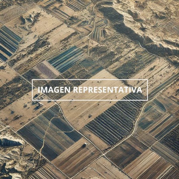 Finca Rústica ubicada en Peñíscola, Castellón  - Juzgado de lo Mercantil Nº 7 de Madrid