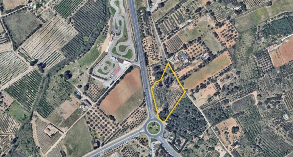 Quota dâ 80,53% di un Solar Rùsticu a Salou - Tribunale di Mercantil n. 1 di Tarragona