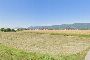 Terreni agricoli a Bassano del Grappa (VI) 2