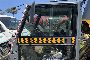 Bucher City Cat 2020 SV. 6