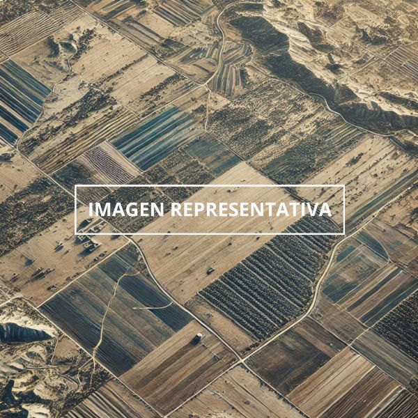 Verschiedene städtische und ländliche Grundstücke in Leganés und Móstoles - Handelsgericht Nr. 01 von Madrid