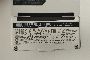 Ноутбук DELL-XPS 15 3