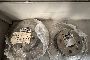 Spare Parts Warehouse for Vehicles 1