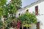 Hacienda en Huevar del Aljarafe, Sevilla 2