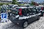 FIAT Panda - A 3