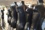 Various Types of Mannequins 4