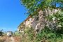 Tirr&egrave;ne adibbite a Vigna, casa cul&ograve;nica, capann&ograve;ne e 4 silos a San Marcello (AN) 6