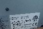 Mimaki Digital Printing Machine 4