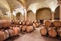 COmpany sale of Terre Cortesi - Moncaro Wine Business - COMPLETE LOT 5
