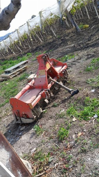 Attrezzature Agricole - Vendita Privata - Vendita 2