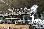 Industrielle strikkemaskiner STOLL og SHIMA 5