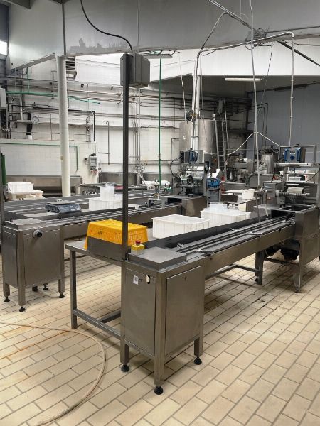 Fabrică de produse lactate, utilaje și echipamente - Instalație fotovoltaică și autovehicule - Lichidare judiciară nr. 1/2025 - Tribunalul din Potenza