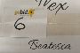 nr. 39 flessen Rosso di Montalcino DOC 2017 0,75 l BEATESCA 2