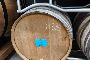 Vin rouge de Montalcino DOC 2024 Beatesca - en vrac en f&ucirc;t 5