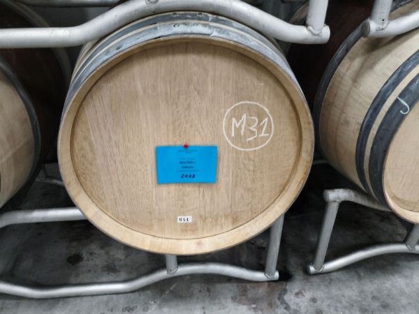 Vente aux enchères Stock de Vins Beatesca : - Brunello et Rosso di Montalcino en fût - Liquidation judiciaire n° 14/2026 - Tribunal de Florence