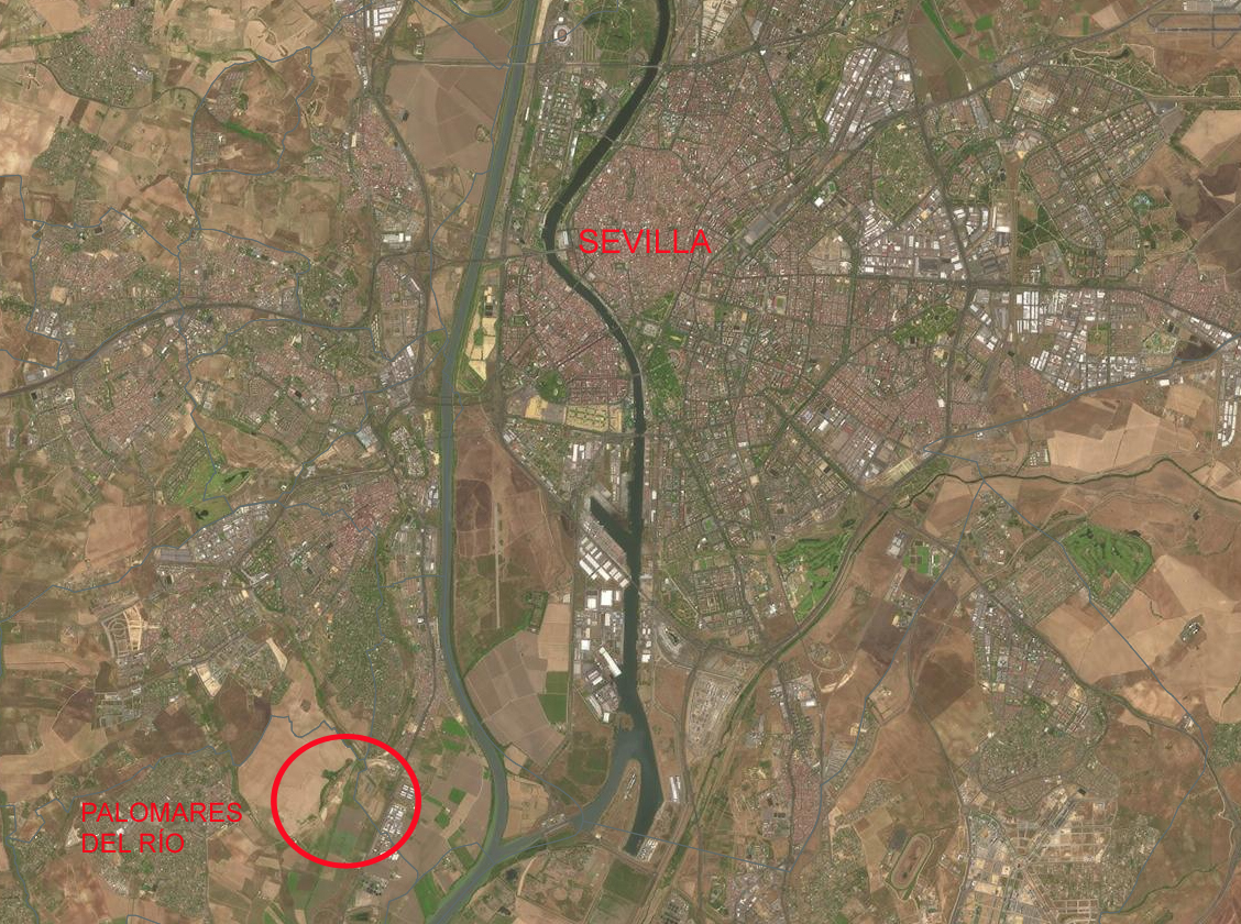 Cuotas indivisas (50%) de dos fincas de suelo no urbanizable en Palomares del Río (Sevilla) - Lote L54