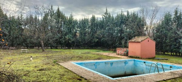 Finca rustica con local comercial en Andujar, Jaen