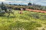 Finca rustica con local comercial en And&uacute;jar, Ja&eacute;n 6