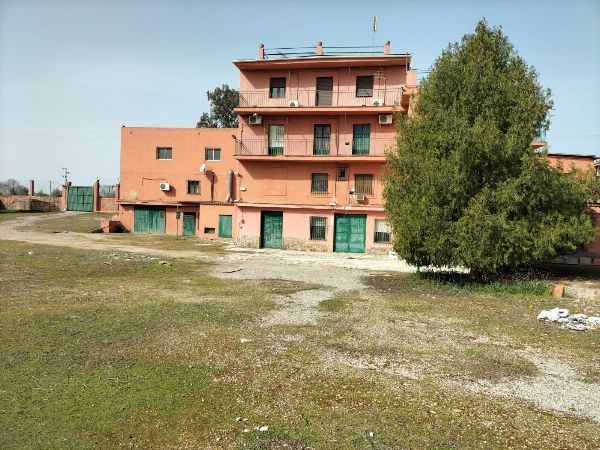 Finca rustica con local comercial en Andujar, Jaen