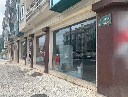 Dos fincas r&uacute;sticas y un local comercial en Pontevedra 
