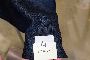 Chaquetas y Trajes Lbm 1911 - N. 18 Capit 2