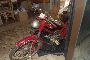 Ciclomotor Ducati Cucciolo 5