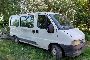 FIAT Ducato und Ford Transit 1