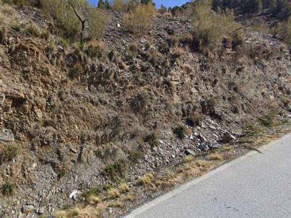 Pleno dominio de 2 parcelas rústicas en Paraje El Cavio, Bacares (Almería) - Sección de lo Mercantil del Tribunal de Instancia de Almería N.º 2