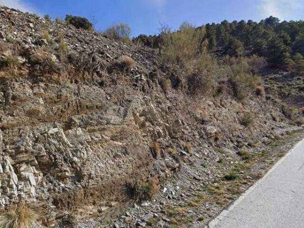 Pleno dominio de 2 parcelas r&uacute;sticas en Paraje El Cavio, Bacares (Almer&iacute;a) - Secci&oacute;n de lo Mercantil del Tribunal de Instancia de Almer&iacute;a N.&ordm; 2