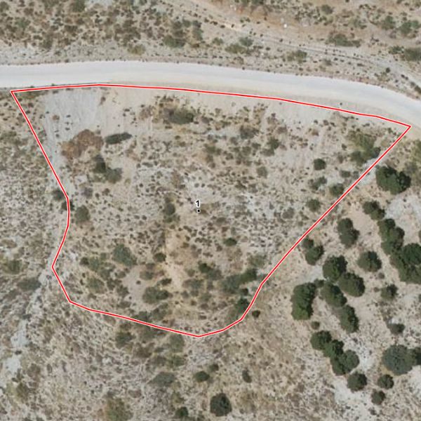Pleno dominio de 2 parcelas r&uacute;sticas en Paraje El Cavio, Bacares (Almer&iacute;a) - Secci&oacute;n de lo Mercantil del Tribunal de Instancia de Almer&iacute;a N.&ordm; 2