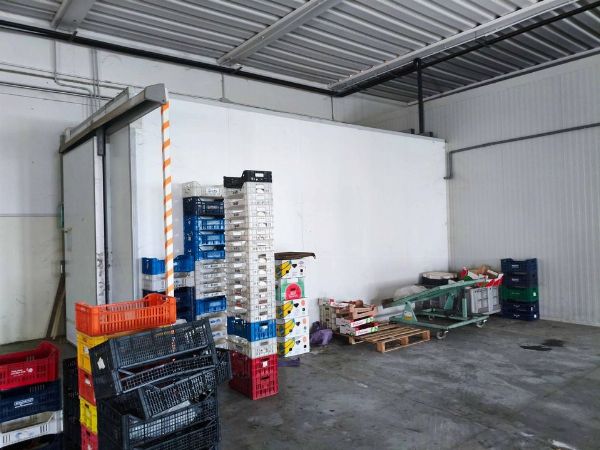 Câmaras frigoríficas, furgões e equipamento para logística - Liquidação Judicial n.º 12/2026 - Tribunal de Terni