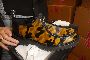 N. 5230 Paires de Chaussures de Divers Types 2