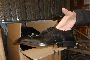 N. 5230 Paires de Chaussures de Divers Types 5