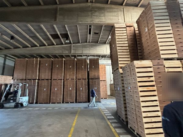 Nave industrial, conjunto de maquinaria para el trabajo del cart&oacute;n y embalaje, veh&iacute;culos, existencias y activos tecnol&oacute;gicos&nbsp;- Juzgado de lo Mercantil n&ordm; 1 de Ja&eacute;n