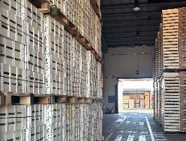 Nave industrial, conjunto de maquinaria para el trabajo del cart&oacute;n y embalaje, veh&iacute;culos, existencias y activos tecnol&oacute;gicos