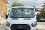 Ford Transit skl&aacute;pěč 1