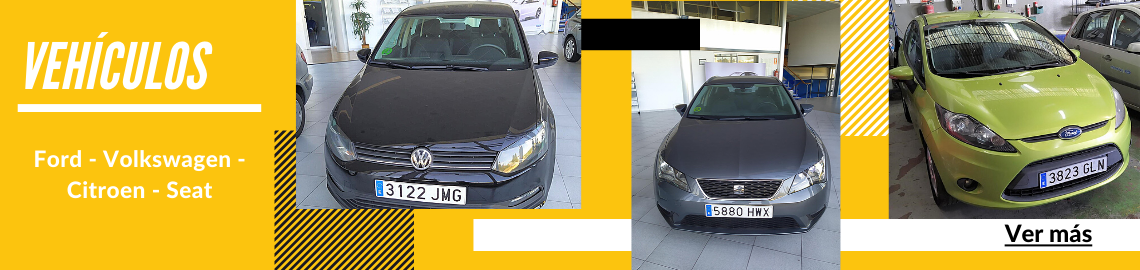 Vehículos Ford
Volkswagen - Citroen - Seat
